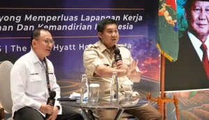pkpxkadin